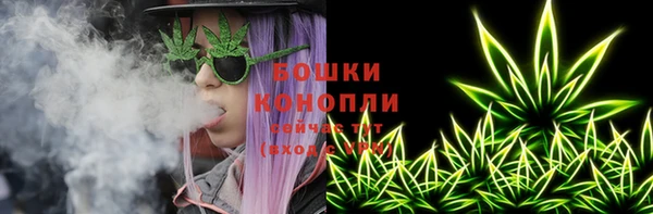 ПСИЛОЦИБИНОВЫЕ ГРИБЫ Балахна
