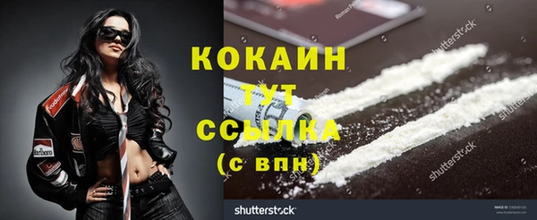 ПСИЛОЦИБИНОВЫЕ ГРИБЫ Балахна