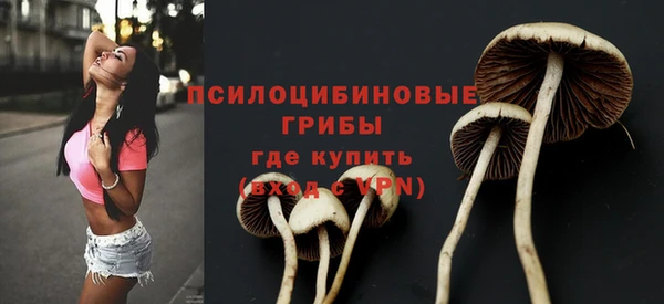 МДПВ Аркадак