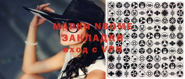 шишки Баксан