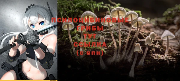 мескалин Армянск